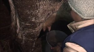 ? ПАРНОЕ МОЛОКО ЦЕЛЬНОЕ ЧТО ЭТО ЗНАЧИТ ? ЦЕЛЬНОЕ МОЛОКО ЧТО ЭТО ТАКОЕ ?