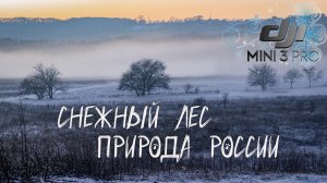 Зимний лес - природа России | Невероятно красивое видео снежного леса