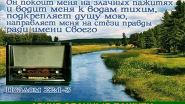 Архив Злачные пажити 024 Рудык Андрей Федорович смотреть онлайн