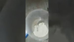 Как правильно давать рябушку курам