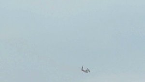 Миг-35. Демонстрационный полёт на авиасалоне МАКС 2015