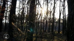 Женские Запросы (Володя Батхёртов)