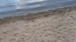 ОЗЕРО  СУДАКОВСКОЕ ?? ПРИОЗЕРСКИЙ РАЙОН..