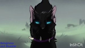 ЧТО ЕСЛИ БИЧА ЛЮБИЛИ?/КОТЫ ВОИТЕЛИ/КВ ТЕОРИЯ