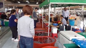 회뜨기달인 Crazy Speed! Seafood Master's Amazing Cutting Skills - Korean street food