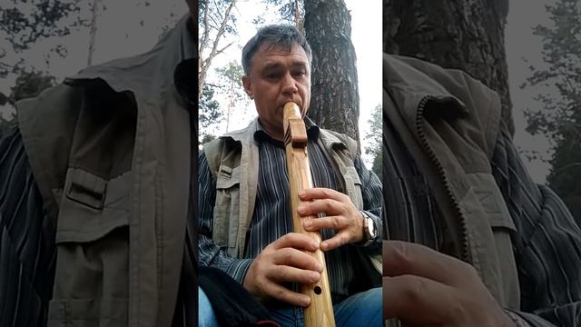 Native American Flute style D4 смотреть онлайн