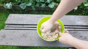 Хлеб из пророщенной пшеницы.8 сентября 2023 г