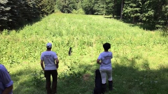 IWT 2015 Konopiště смотреть онлайн