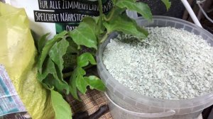 Лучший состав грунта для цитрусов и экзотических растений!