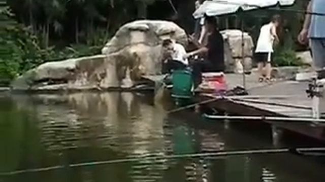 Fujifilm FinePix HS10 test 8 смотреть онлайн