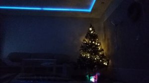 Всё-таки ОН существует!!! - Поймали Деда Мороза!