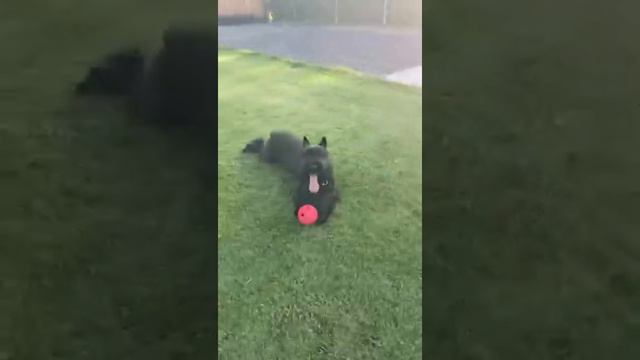 18 июля 2021 г. смотреть онлайн