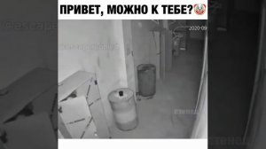 хоррор квест. забавный случай в квесте. спрятался в нычке актера