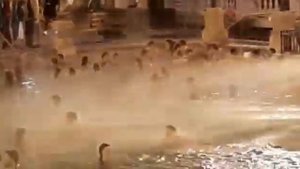 Купальни Сечени в Будапеште.Ноябрь 2921