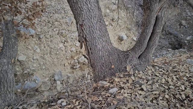 Iranian Nomads: Two Nomadic Warriors and the Struggle for Survival: Nomadic Life