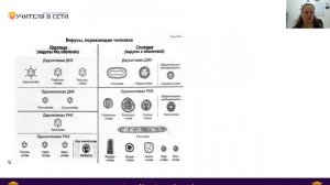 Вирусы. Строение, классификация вирусов. Бактериофаг.