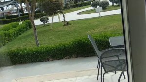 Coral Sea Waterworld 5*