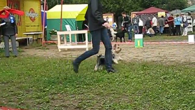 Риточка на выставке часть 2 смотреть онлайн