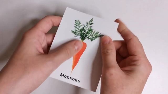 Бюджетные развивающие карточки изд. Дом Мещерякова