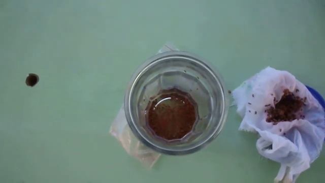 Семена в водке. смотреть онлайн