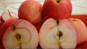 Яблоня Мечта