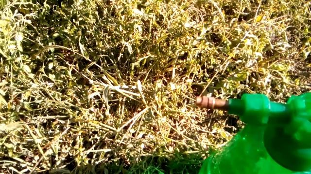 Не холодит кондиционер!!! Что делать? Устраняем без мастера.