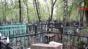 Истории на ночь - Куклы