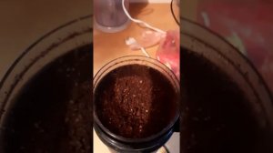 Ремонт кофемолки DELONGHI KG 49. Тестируем распечатанную на 3D принтере муфту.