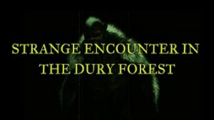 “Strange Encounter In The Dury Forest” | Paranormal Stories