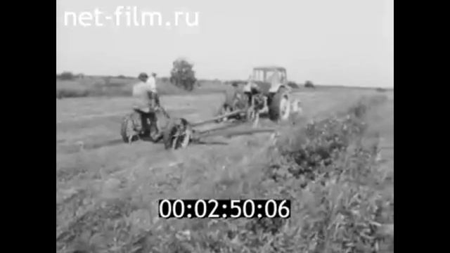 1968г. совхоз Мегрегский. д. Мегрега Олонецкий район Карелия смотреть онлайн