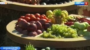 В Михайловске на празднике аграриев презентуют ставропольский урожай