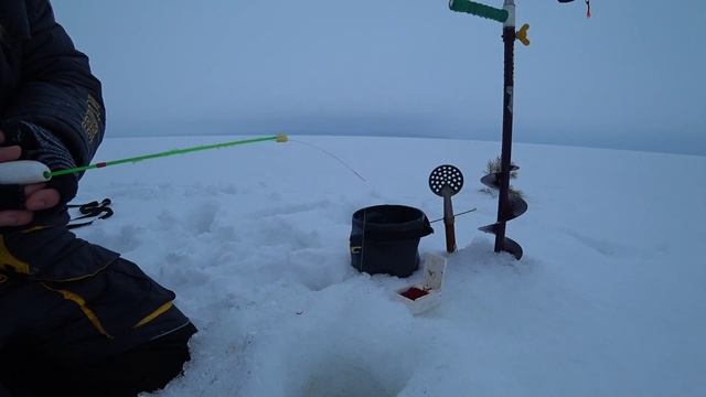 ГЛУХОЗИМЬЕ отменяется! Зимняя рыбалка на блесну и мормышку. Спреи ERS. смотреть онлайн