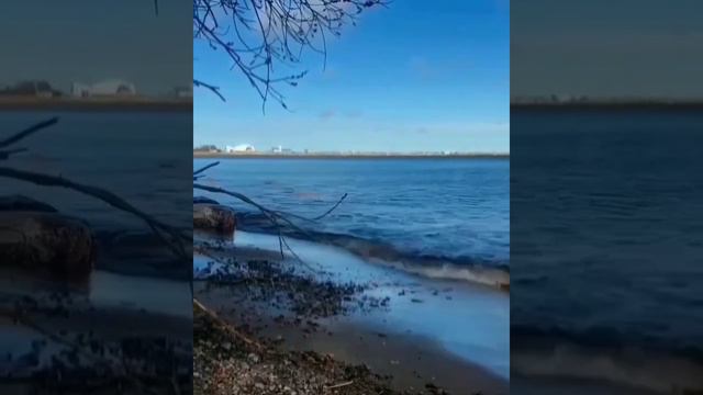 Цветковка . Награда тем кто построит мечеть. смотреть онлайн