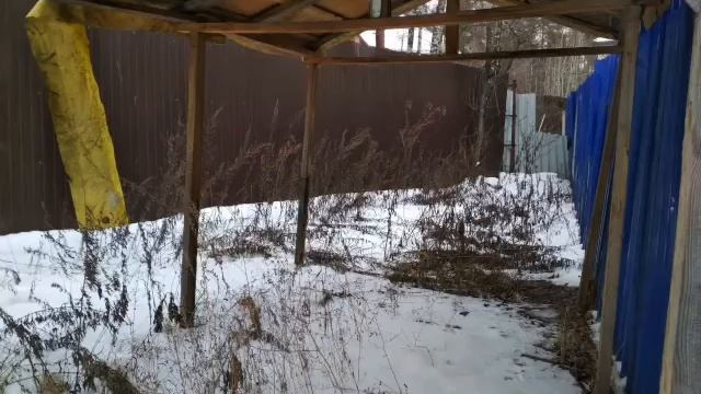 Полушкино, Раменский район, МО