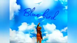 Blue bird ? -10 часов