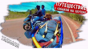 Держим путь из Таиланда в Камбоджу, путешествие с собакой на скутере