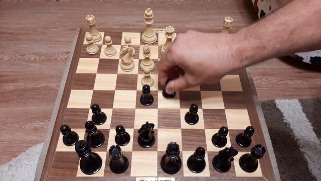 Шахматы. Блестящая атака пешками в дебюте. Учимся играть пешками. смотреть онлайн