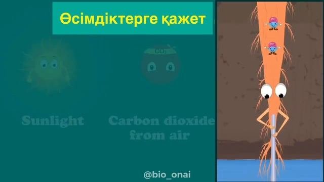 ФОТОСИНТЕЗ деген немене?