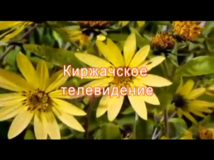 Как живут современные крестьяне