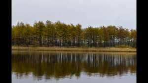 Прогулка по реке