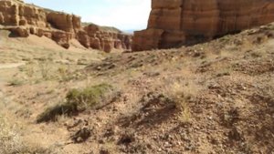 Адениум! Не растёт попа.... Почему???