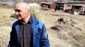 НИКОЛАЕВСКИЕ серпастые и торцовые ГОЛУБИ