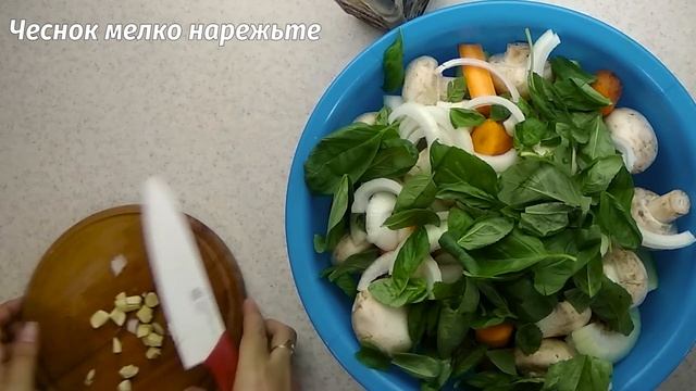 Овощи в духовке: кабачки, шампиньоны и морковь смотреть онлайн