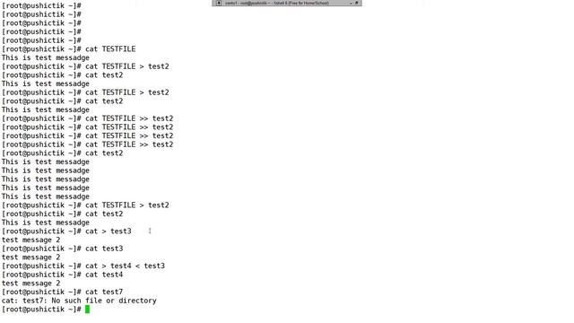 Стандартные потоки ввода/вывода в Linux. Урок 12. смотреть онлайн