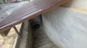 Подвальное помещение‼️