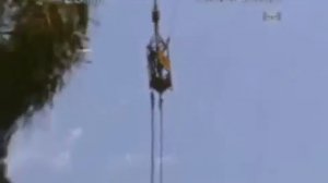 Крокодил откусил голову. 16+