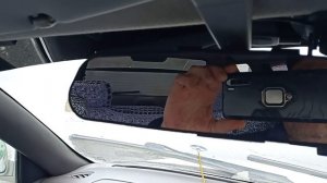 Саб Dl Audio Gryphon 10.v2 + моноблок Dl Audio Gryphon 1.1000