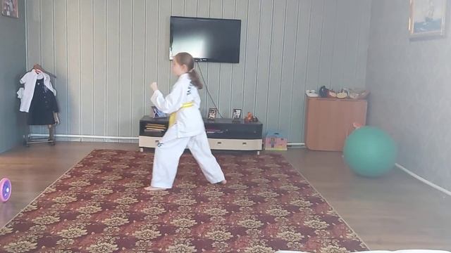 Самоизоляция.Тренируемся дома.Тхэквондо (ITF)