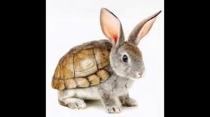 chantal goya,ce matiin un lapin