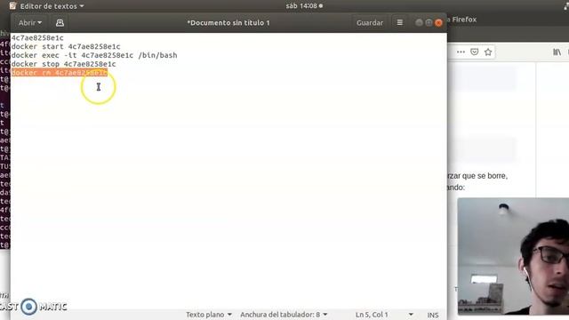 Taller2-Usando Docker con apache2 смотреть онлайн